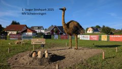 1_Sieger Strohpark 2025.jpg